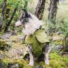Dog Coats Small Waterproof,Warm Outfit Clothes Dog Jackets Small,Adjustable Drawstring Warm And Cozy Dog Sport Vest-(Green size XL)